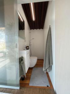 Looduskeskne Olivia moodulmaja Põltsamaal的一间带卫生间和玻璃门的浴室