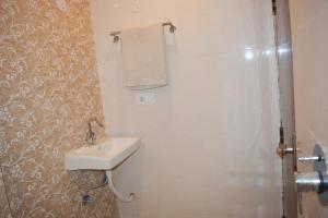 新德里Royal Punjab in的一间带水槽和淋浴的浴室