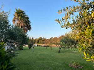 康特港Podere Cala Viola的绿树成荫的庭院和草地