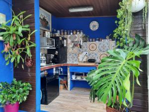 马德里Loft con jardin的一间厨房,拥有蓝色的墙壁和植物台面