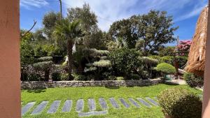 维琪奥港Chez Virginie的一座种有棕榈树和石墙的花园