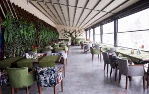 普雷代亚尔卡门酒店的一间设有桌椅的餐厅,种植了植物