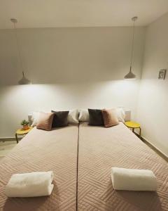 阿尔巴塞特La Casita M&S的一张大床,房间上有两个枕头