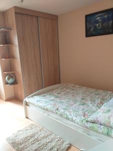 Gołkowice DolneDomek pod Przehybą - Pokoje的一间卧室配有一张床和一个衣柜