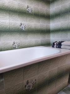 Gołkowice DolneDomek pod Przehybą - Pokoje的浴室铺有绿色瓷砖,配有白色浴缸。
