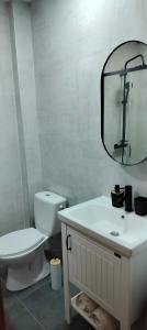 弗尔尼亚奇卡矿泉镇Sienas Holiday Home的白色的浴室设有卫生间和镜子