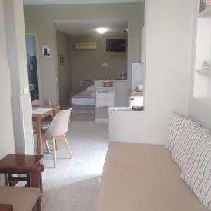 基奥尼亚米提亚一室公寓酒店的带沙发的客厅和用餐室