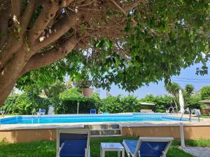 基萨莫斯Cormoranos Apartments Eco Green的一个带两把蓝色椅子和一棵树的游泳池
