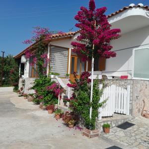 萨兰达Denni’s Home的前面有一棵紫色的树的房子
