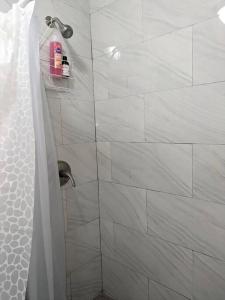 阿雷西博Family-Home-Workplace-Peace的带淋浴的浴室和玻璃门