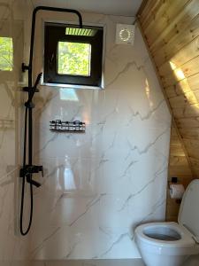 GhebiGlacier Shoda的一间带卫生间和窗户的浴室
