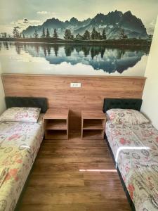 尼什Apartments "Predah kod Baraća"的墙上画画的房间里设有两张床