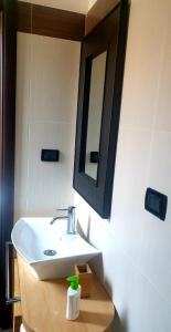 雷焦卡拉布里亚La Casita的浴室设有白色水槽和镜子