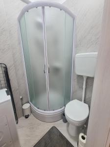卡什泰拉Lady Di apartments的一间带玻璃淋浴和卫生间的浴室