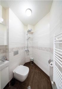 索非亚Top Central Luxury Apartment & Free Parking的白色的浴室设有卫生间和淋浴。