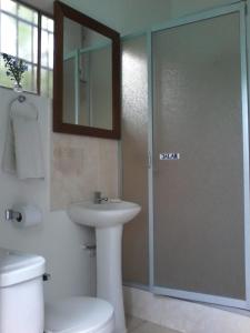 拉梅尔塞Cloud forest SAN CARLOS的一间带水槽、卫生间和镜子的浴室