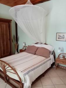 MomuyRicouch, chambre d'hôtes et permaculture的一间卧室配有一张带蚊帐的床