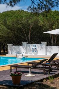 赞布热拉-杜马尔蒙特都吧勒卡斯旅馆的一个带两张野餐桌和一把遮阳伞的游泳池