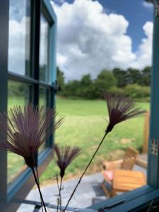 韦德布里奇St. Kew Shepherd Huts的窗前花瓶里两朵紫色花