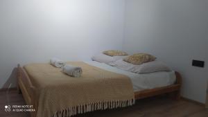 斯洛莫夫采维日奈Pokój typu studio nr 2的一间卧室配有两张带毛巾的床