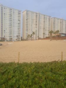 阿尔加罗沃Laguna Bahia的一座拥有高楼和棕榈树的大海滩