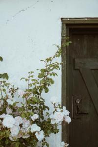 特雷勒堡Axatorpsgården的门边有粉红色玫瑰的植物
