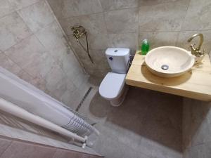Grădiştea de MunteCasuta din Valea Regilor的浴室配有白色卫生间和盥洗盆。