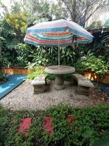 阿拉胡埃拉Nirvana Apartament Hostal的一张带雨伞和两个长椅的野餐桌