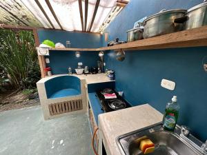 卡维塔Mono Azul Cahuita的一间带水槽和炉灶的小厨房