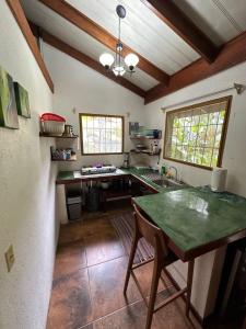 卡维塔Mono Azul Cahuita的一间厨房,在房间内配有绿色的台面