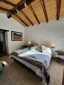 普尔马马尔卡Hostería Aguas Coloradas的一间卧室设有一张带木制天花板的大床