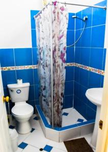 塔克纳Las Mariposas Hospedaje的蓝色瓷砖浴室设有卫生间和淋浴。