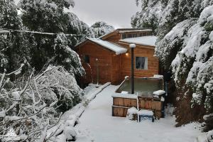 埃尔卡内洛Cabaña Andes的雪中木屋,有雪覆盖的树木