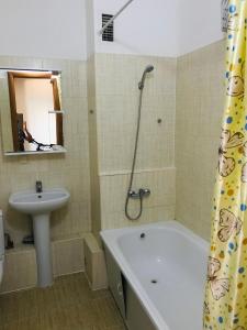 阿拉木图Уютная, ухоженная квартирка.的带浴缸、水槽和淋浴的浴室