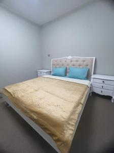 阿布扎比Private Room in shared Apartment的一张床上有两个蓝色枕头的房间