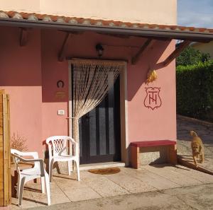 佩德蒙特La casa di Nello的一只猫站在房子前面,有一扇门