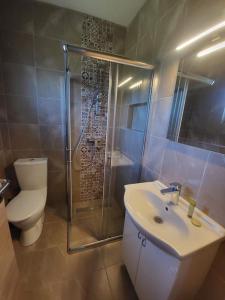 Gornja ToplicaApartman MatiNik1的浴室配有卫生间、盥洗盆和淋浴。