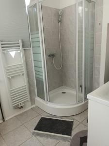 克尼特尔费尔德Privat Zimmer KF的带淋浴的浴室和玻璃门