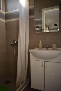 巴伊纳巴什塔Petković apartman的一间带水槽和淋浴帘的浴室