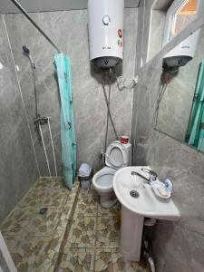 TongGuest house and Yurt camp "Ailuu"的浴室配有卫生间、盥洗盆和淋浴。