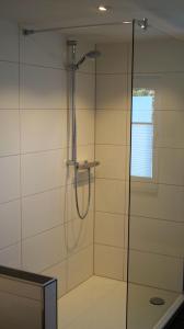 NiedersalweyLandhaus Kraehenberg的浴室里设有玻璃门淋浴