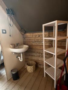 圣卢切Glamping Tuscany - Podere Cortesi的一间带水槽和架子的浴室