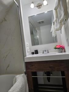 萨默赛德Sunflower Guest Suites的一间带水槽和镜子的浴室