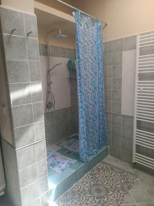 维亚雷焦appartamento vale的浴室内配有蓝色淋浴帘