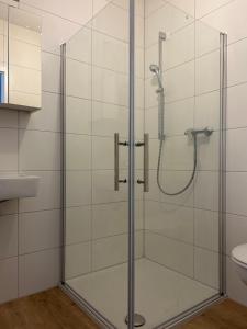 莱茵费尔登Boardinghouse Rheinfelden 2的浴室里设有玻璃门淋浴