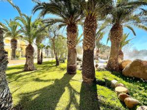 滨海罗克塔斯Beachfront apartment in Roquetas de Mar with communal pool的公园里的一棵棕榈树