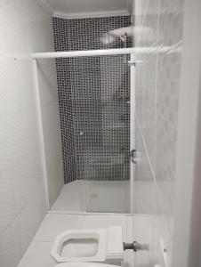 圣保罗Hotel Real Centro的带淋浴和卫生间的浴室