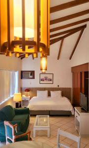 卡利Castellón de Juanambú的一间卧室设有一张床和一间客厅。