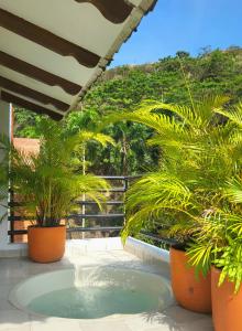 卡利Castellón de Juanambú的庭院拥有两株盆栽植物和热水浴池
