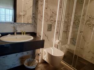 伊尔比德Sedrah Hotel的一间带水槽、卫生间和淋浴的浴室